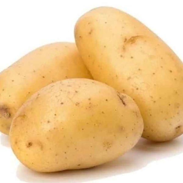 Fresh raw potato - nutrient-rich vegetable for cooking and healthy eating