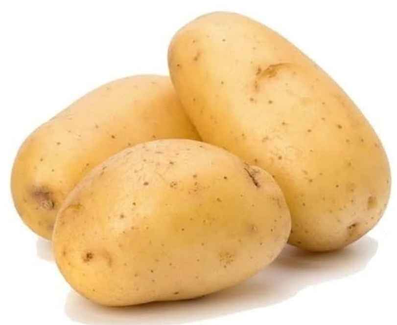 Fresh raw potato - nutrient-rich vegetable for cooking and healthy eating